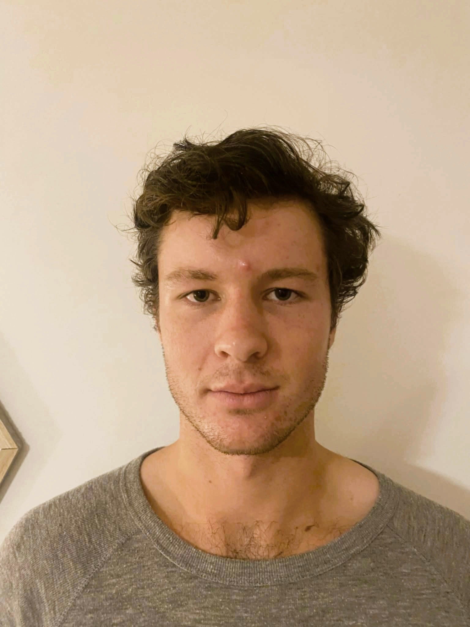 Portrait of a young man with short brown hair wearing a gray crew-neck shirt, standing against a light wall.