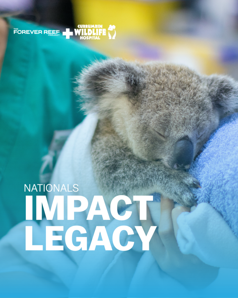 Sleeping koala cradled by a person in scrubs, with wildlife hospital logos and the words 'NATIONALS IMPACT LEGACY'
