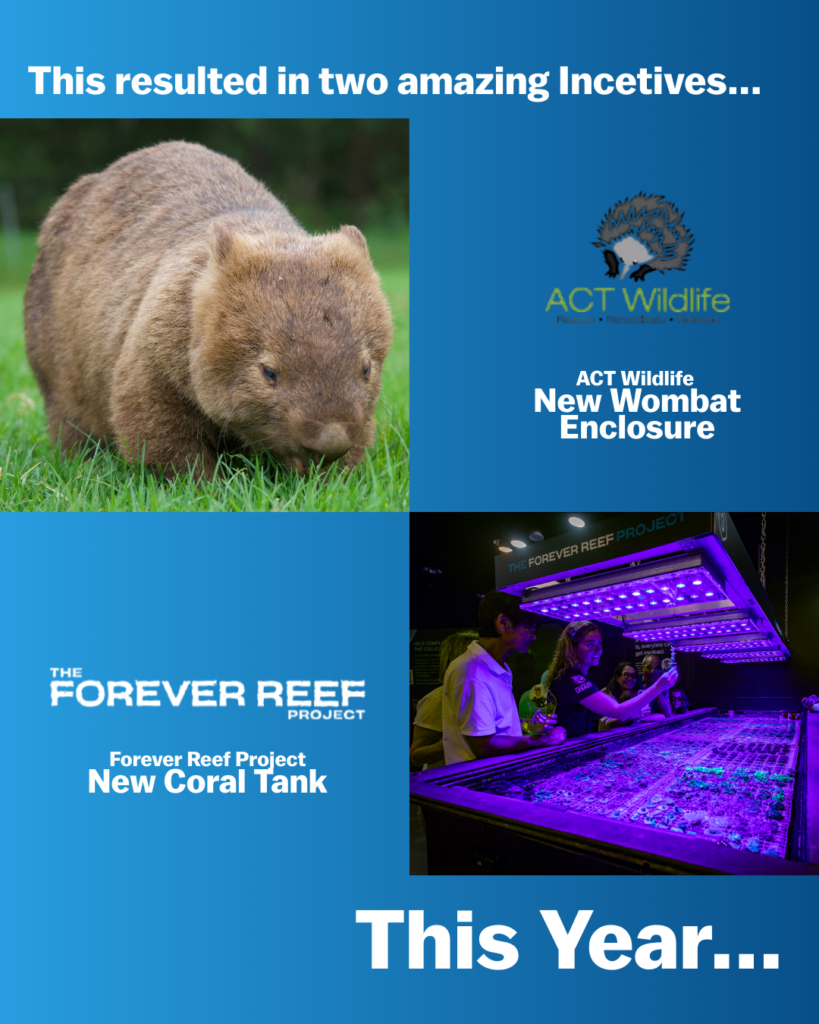 Collage promoting this year’s incentives: a wombat photo, ACT Wildlife logo with 'New Wombat Enclosure', Forever Reef Project logo, and a coral-tank image with 'This Year' text.