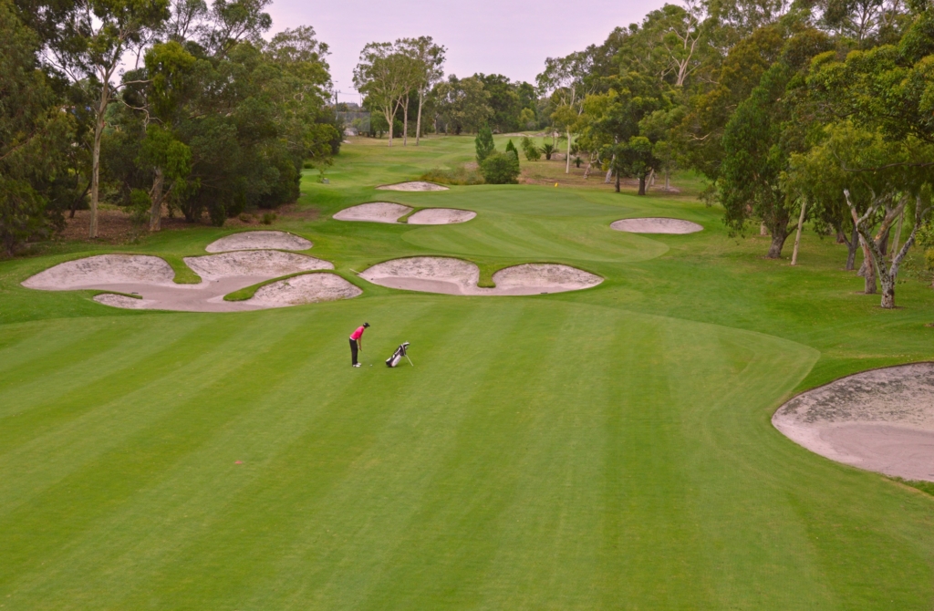 Golfer in pink shirt preparing to swing on a green golf course with numerous sand bunkers and trees surrounding the fairway.