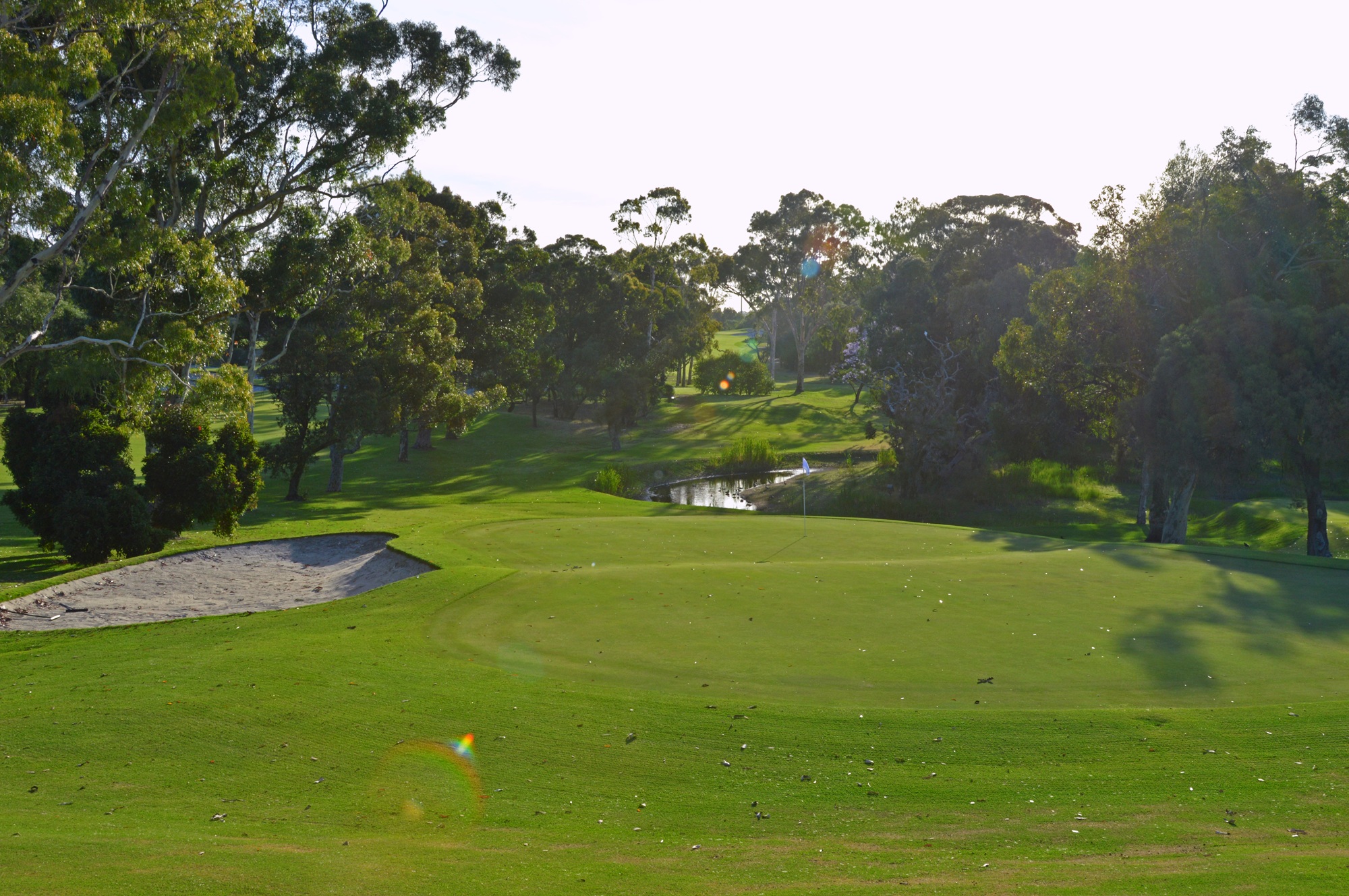 Golf course green with a sand bunker on the left, trees framing the scene and a flag near the hole by a small pond beyond.