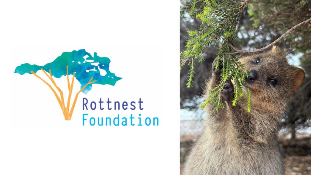Rottnest Foundation logo on the left and a quokka peeking from evergreen branches on the right.